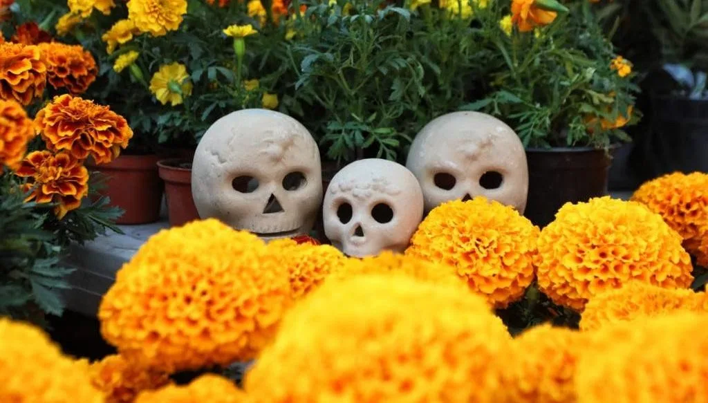 Ofrenda de Día de Muertos 