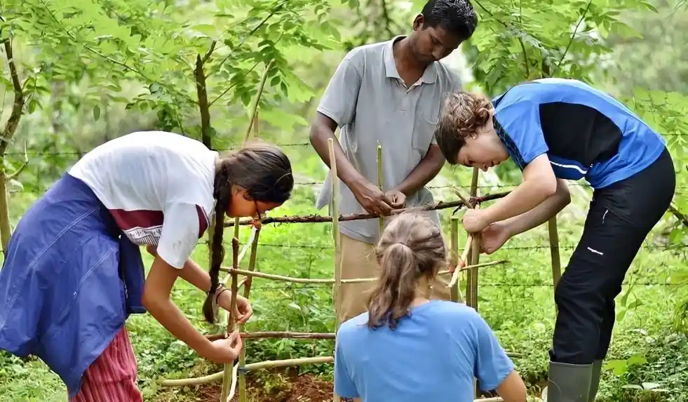 Voluntarios de la Unesco 