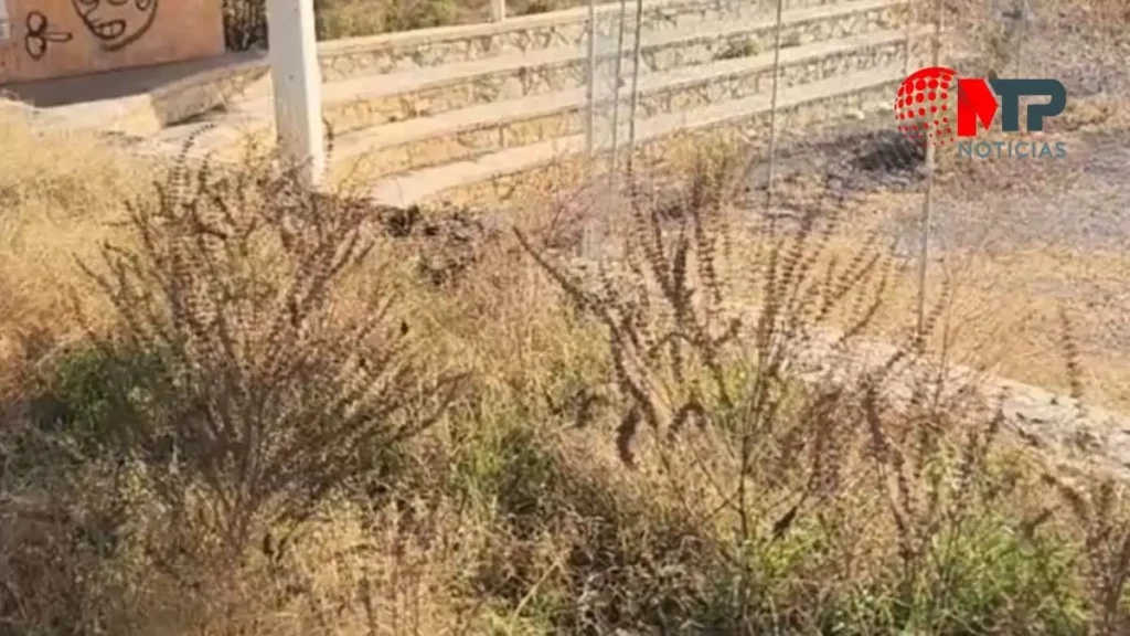 Cadáver de mujer abandonado en Chapulco