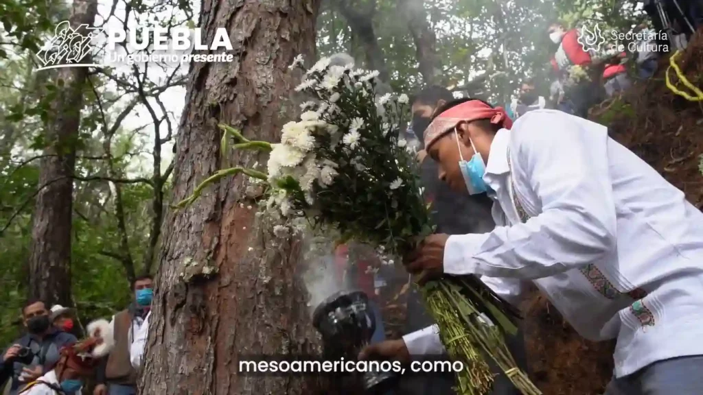 Danza de los Voladores ya es Patrimonio Cultural Intangible de Puebla