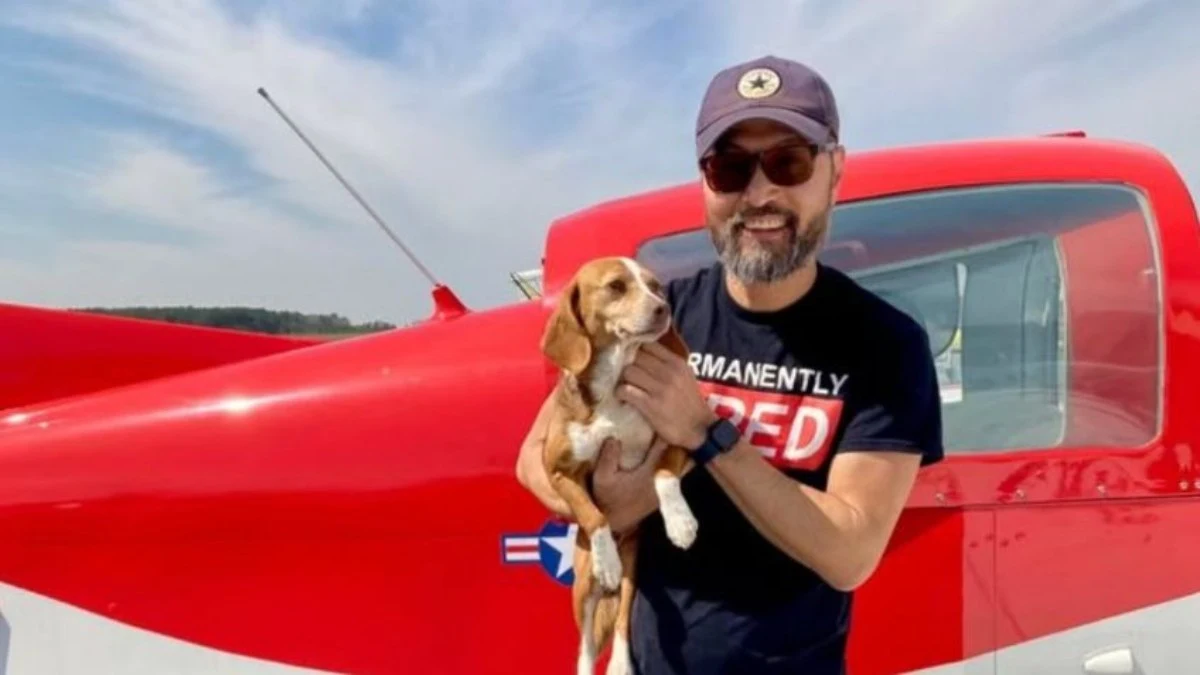 Piloto rescata a perritos víctimas de maltrato, estrella su avión y todos mueren