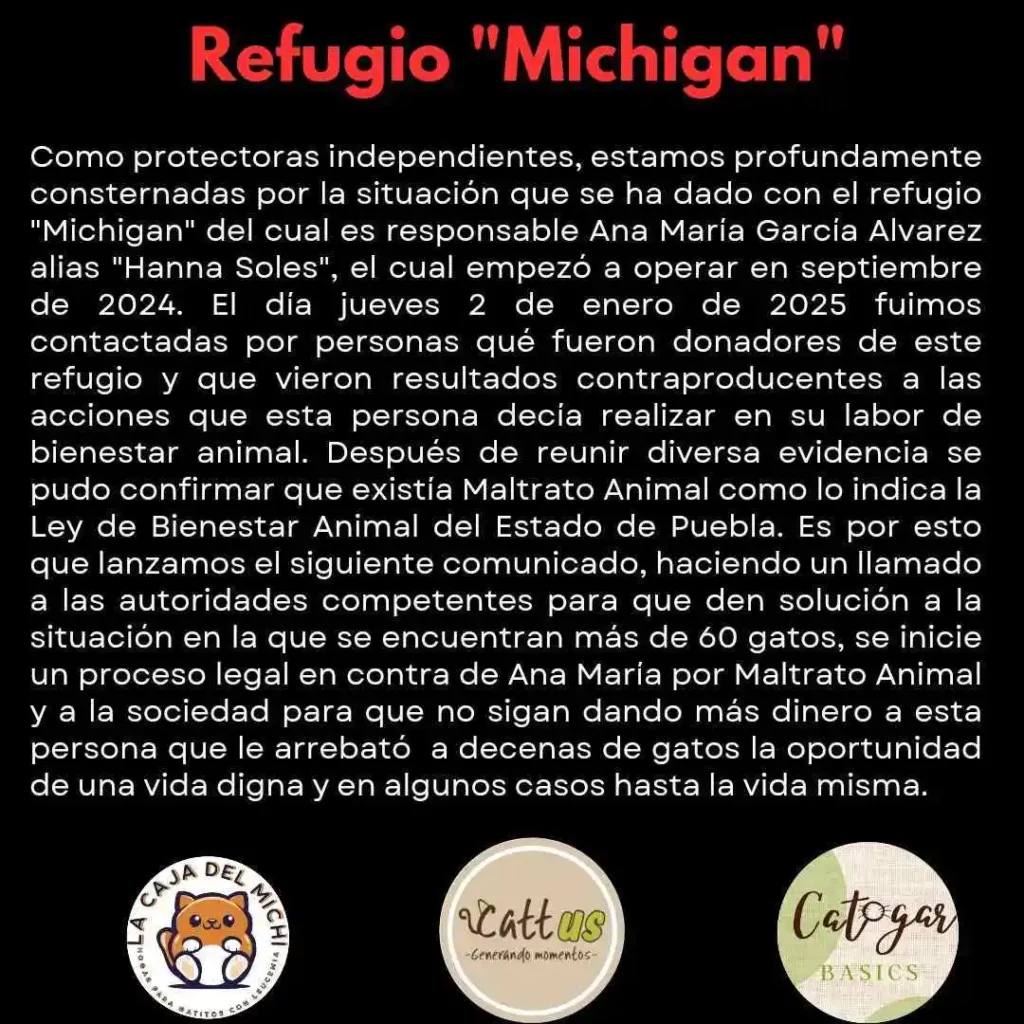 Influencer que operaba el refugio 'Michigan' abandona 60 gatos enfermos en Amozoc