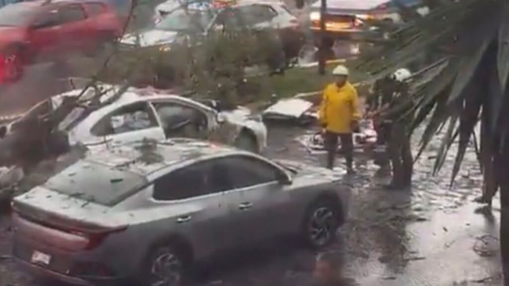 Cae árbol contra vehículos y deja un muerto en Recta a Cholula tras lluvias