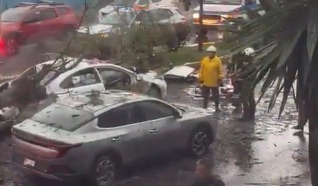 Cae árbol contra vehículos y deja un muerto en Recta a Cholula tras lluvias